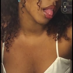 Foto de Red Dahlia ao vivo na webcam