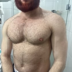 Foto de Ruivo 1446 ao vivo na webcam