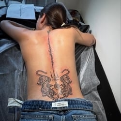 Foto de Santiaga 2 ao vivo na webcam