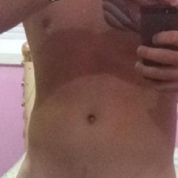 Foto de sarado gato ao vivo na webcam