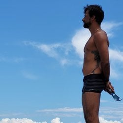 Foto de Sea Shark ao vivo na webcam