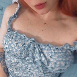 Foto de Sibila Rubra ao vivo na webcam