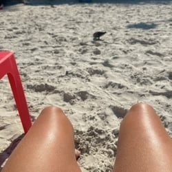 Foto de Sol 2024 ao vivo na webcam