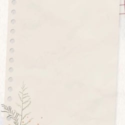 Foto de Sophi Anne ao vivo na webcam