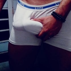 Foto de SP no Poder ao vivo na webcam