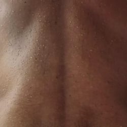 Foto de Stallony ao vivo na webcam