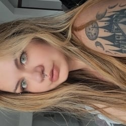 Foto de Sugar Fox ao vivo na webcam