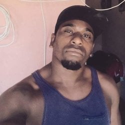 Foto de Touro Negro ao vivo na webcam