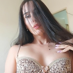Transluxxx