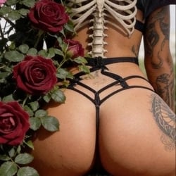 Foto de Tropicalia 69 ao vivo na webcam