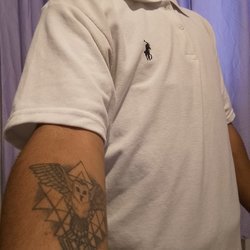 Foto de Ursinho Favorito ao vivo na webcam