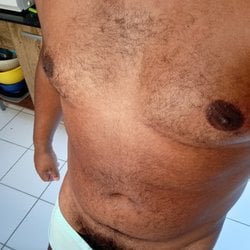Foto de Ursinho Negro BR ao vivo na webcam