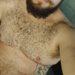 Foto de Urso G 25 ao vivo na webcam