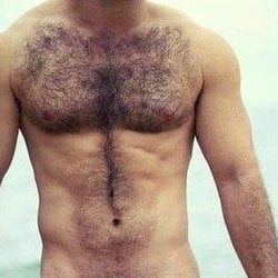 Foto de Urso Psicólogo ao vivo na webcam