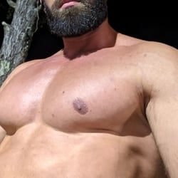 Foto de Urso ao vivo na webcam