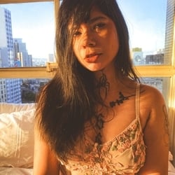 Foto de Vairus ao vivo na webcam