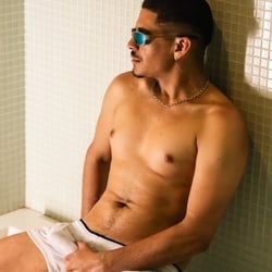 Foto de Versátil 20cm ao vivo na webcam