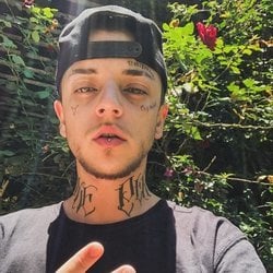 Foto de Whosfrd ao vivo na webcam