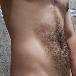 Foto de Wolfão ao vivo na webcam